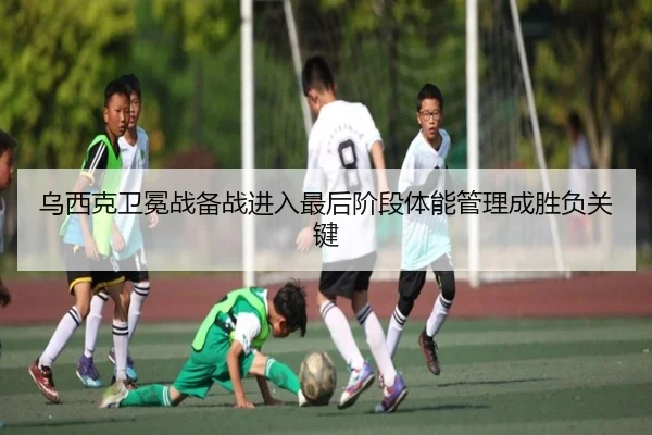 乌西克卫冕战备战进入最后阶段体能管理成胜负关键